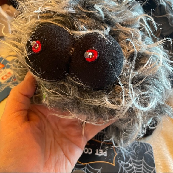 Spider 🕷️ Medium Dog NWT Costume - Picture 3 of 6